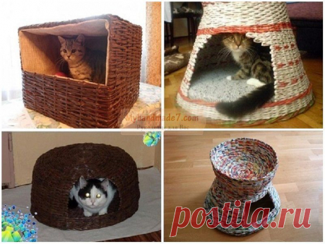 Домик для кошки своими руками: лучшие идеи и мастер-классы с фото
