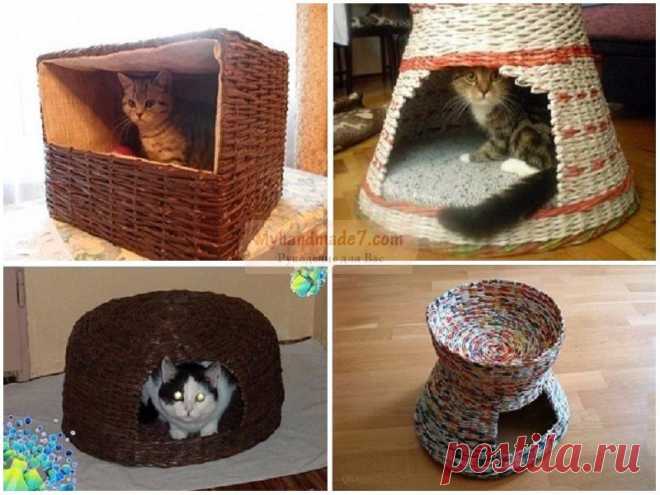 Домик для кошки своими руками: лучшие идеи и мастер-классы с фото