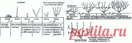 13.gif (800×262)