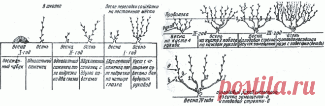 13.gif (800×262)