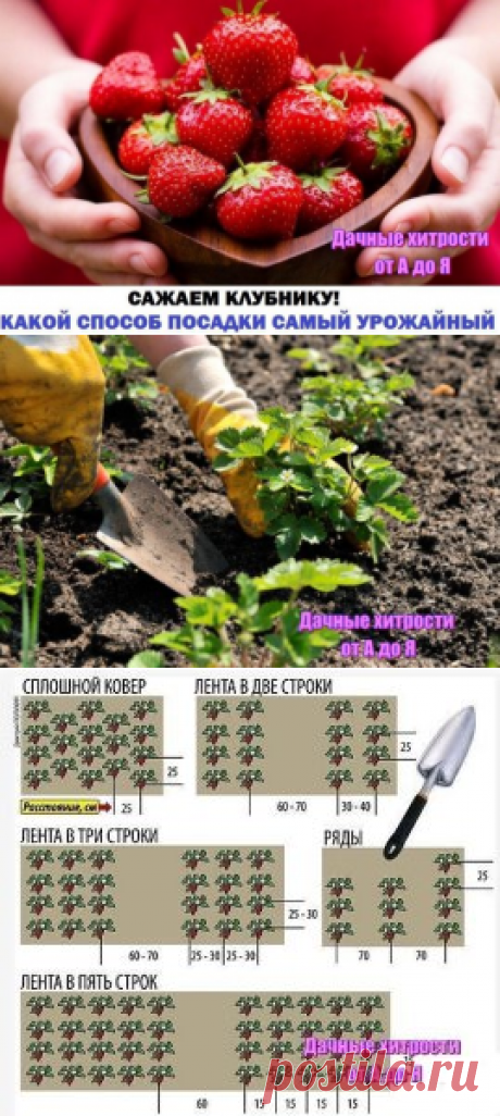 (16) Одноклассники
