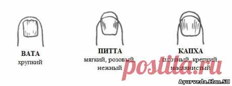 AyurClub - Аюрведа клуб. Профилактика и лечение.: Ваши ногти говорят, что пора сделать кардиограмму.