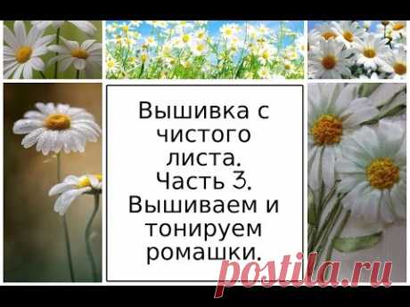 МК. Вышивка с чистого листа. Часть 3. Вышиваем и тонируем ромашки. Разживалова Наталья