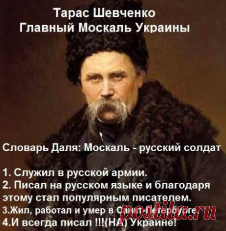 original.jpeg (480×489)