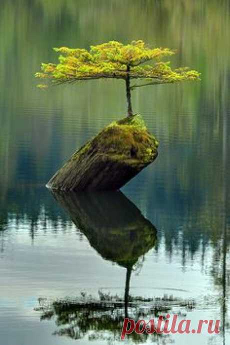.AMAZING