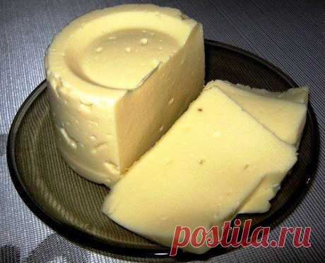 Домашний плавленный сыр | Страна Полезных Советов