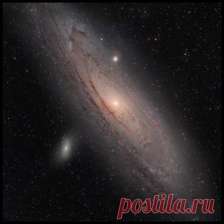 Спиральная галактика М31 Туманность Андромеды от астрофотографа Боба Андерсона. / Интересный космос