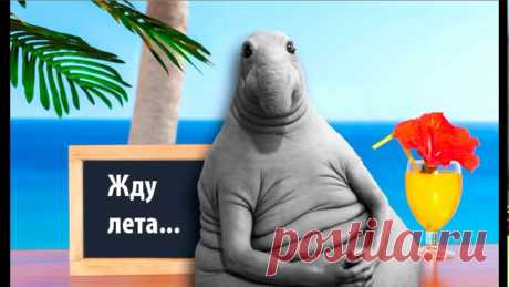 Ждун - скульптура, созданная голландской художницей Маргрит ван Бреворт весной 2016 года для Лейденского университета. Имя Ждун получило известность в российском интернете, став интернет-мемом. Для тех, кто не хочет ждать - уже сейчас бесплатная запись 2-х часового мастер-класса &quot;7 законов Успеха, Богатства и Благополучия по которым живут те, кто &quot;рулит&quot; этим миром и своей жизнью&quot;. 


#ждун #успех #богатство #благополучи