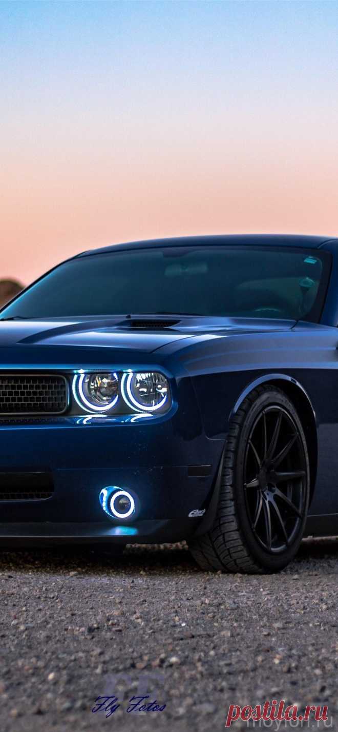 Скачать обои на смартфон американская машина dodge challenger. | Машины  обои на телефон. | Постила