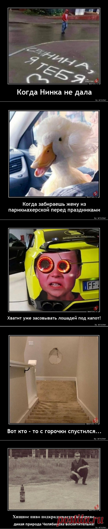 Демотиваторы-259