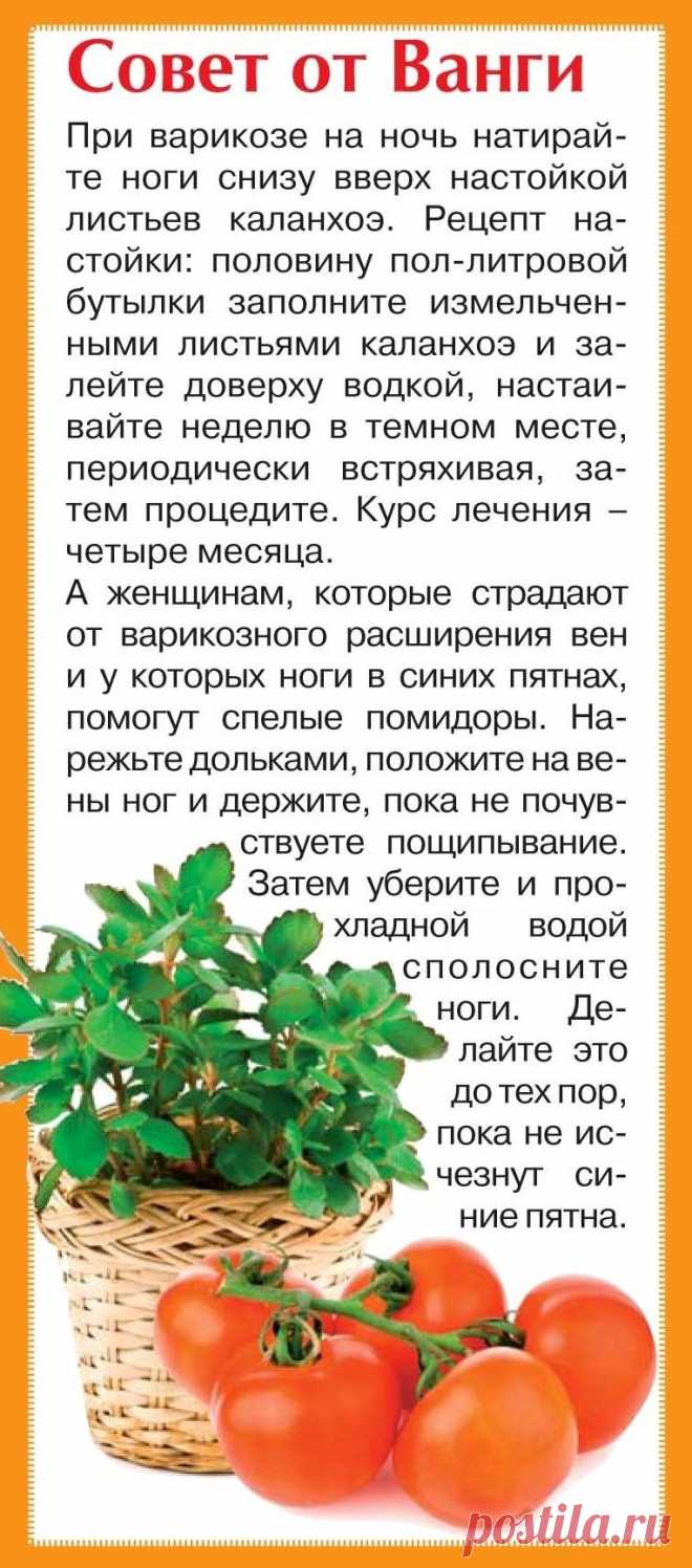 Совет ванги как похудеть быстро