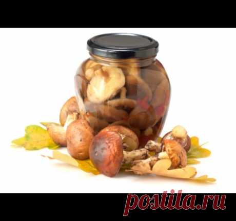 Как солить грузди :: солим грузди в банках :: Кулинарные рецепты :: KakProsto.ru: как просто сделать всё