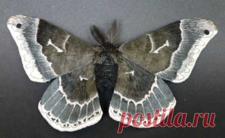 Вышитые мотыльки и бабочки от Юми Окита