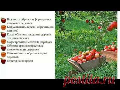 Важность обрезки и формировки плодовых деревьев. Обрезка деревьев от А до Я. Вебинар. Часть 1. ©