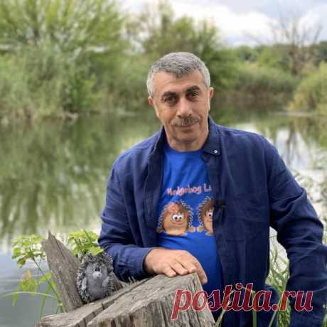 Доктор Комаровский собрал грибы Головачи о которых многие и не слышали