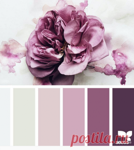 jessica colaluca в Instagram: «today's inspiration image for { inked flora } is by @georgiestclair ... thank you, Georgie, for another *gorgeous* #SeedsColor image share!»