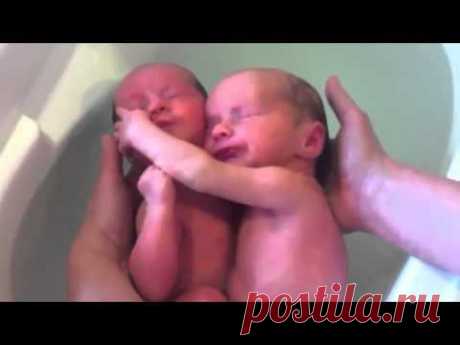 Мой Ребнок: Удивительные кадры только что родившихся близнецов (видео) - Грудничок | moy-rebenok.ru