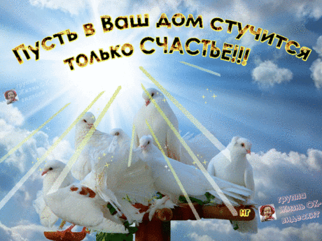 Анимированная открытка "Бесплатная открытка на Мой мир и Вконтакте"