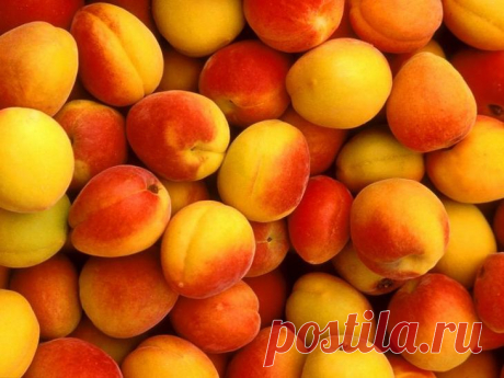 Самые полезные продукты и их благотворное влияние на организм человека