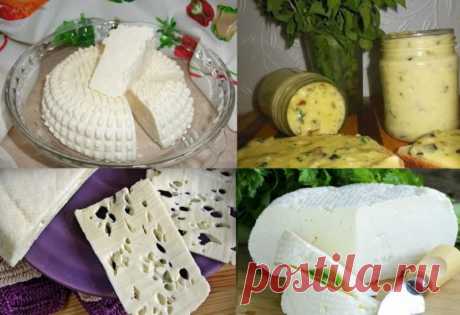 Домашние сыры. 15 рецептов приготовления Приготовление домашнего сыра — не такая сложная задача, как может показаться на первый взгляд. Раскрываем секреты приготовления. Хочу предложить Вам очень