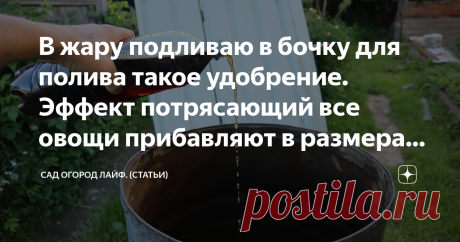 В жару подливаю в бочку для полива такое удобрение. Эффект потрясающий все овощи прибавляют в размерах на глазах. Ну вот и дождались, неужели в конце июня наступила долгожданная жара? Сегодня расскажу, что именно я добавляю в жару, в бочку с водой для полива, чтобы растения не только легче переносили знойную погоду, но и прибавляли на глазах в размерах.  Если честно, я думала что всё лето будет холодным и клубника поспеет только к августу! Но слава богу наступила теплая, д...