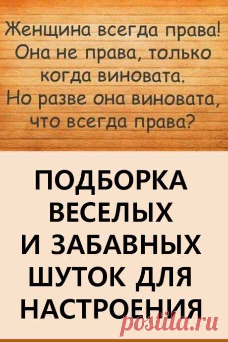 Истории и шутки для настроения. Эта подборка веселых и забавных историй подарит позитивный настрой на весь день!  Живите с юмором и пусть хорошее настроение не покидает Вас. #юмор #шутки #позитив #веселыекартинки #забавныешутки