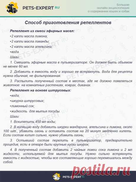 Какой запах не любят кошки: подбираем отпугивающие запахи