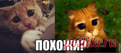 Одноклассники