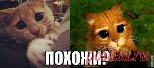 Одноклассники