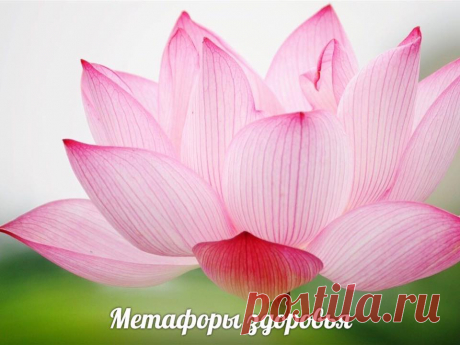 КАК ИЗБАВИТЬСЯ ОТ НЕГАТИВНЫХ МЫСЛЕЙ