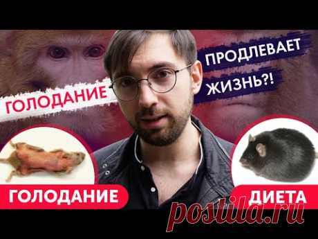 Голодание продлевает или СОКРАЩАЕТ жизнь?! Разбор исследований