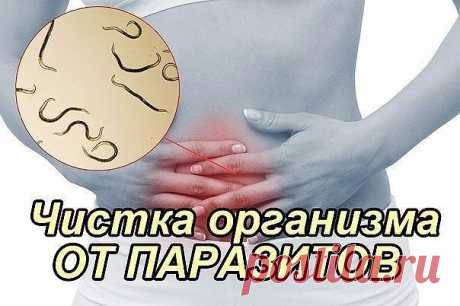 Очищение организма от глистов
Наиважнейшей частью очищения организма я считаю очищение его от паразитов (глистов). Без этой процедуры здоровый образ жизни человека невозможен.