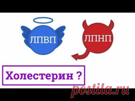 Хороший и плохой холестерин. Что это такое?