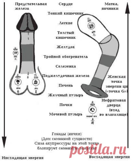 Трансформационные практики Ярослава ДОНЦОВА