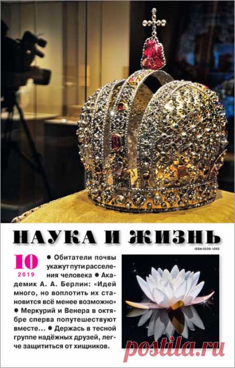 Пчелиная трава мелисса | Наука и жизнь