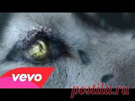 ▶ David Guetta - She Wolf (Falling To Pieces) ft. Sia - YouTube