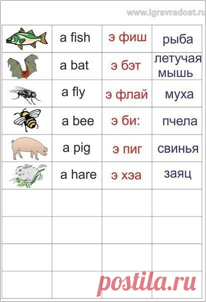 (24) Одноклассники