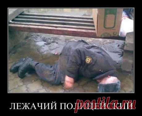Смешные картинки - 500
