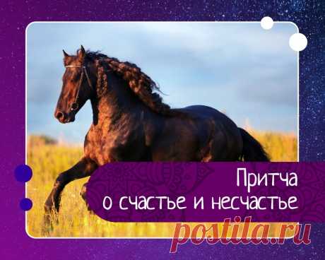 Притча о счастье и несчастье Один китайский крестьянин прожил всю жизнь в трудах, добра не нажил, но обрел мудрость. Он обрабатывал землю вместе со своим сыном с утра до ночи.Как-то раз сын сказал отцу:– Отец, у нас несчастье, наша лошадь ушла.– Почему ты называешь это несчастьем? – спросил отец. – Посмотрим, что...