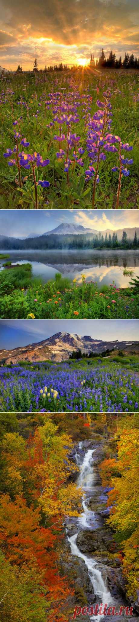 Фотограф Kevin McNeal| 'Mount Rainier National Park'