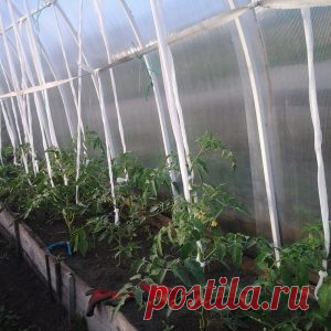 Практика ведения дачного хозяйства
