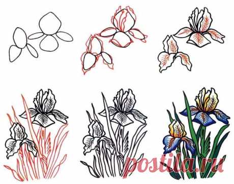 Рисуем цветы поэтапно. Как нарисовать цветок карандашом, фото-и видео-инструкции