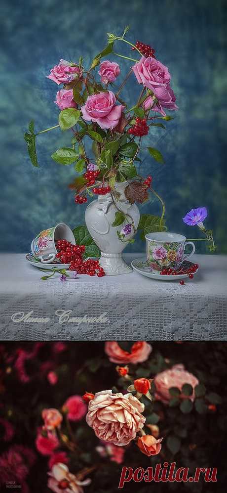 ТОП-20 фотографий за 05.10.2013 г. » ALLDAY - народный сайт о дизайне