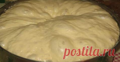 Рецепт самого вкусного теста для пирожков 


Тесто получается мягкое, воздушное, и очень вкусное, а изделия из него достойны высших похвал!









Ингредиенты:

мука — 175 грамм;
соль — на кончике чайной ложки;
сухие дрожжи САФ — 1 чайная л…