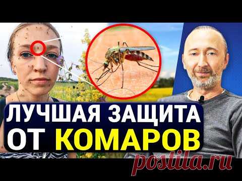 САМОЕ СИЛЬНОЕ И БЕСПЛАТНОЕ СРЕДСТВО ОТ КОМАРОВ! Без химии! 5 Натуральных мер избавления от комаров.