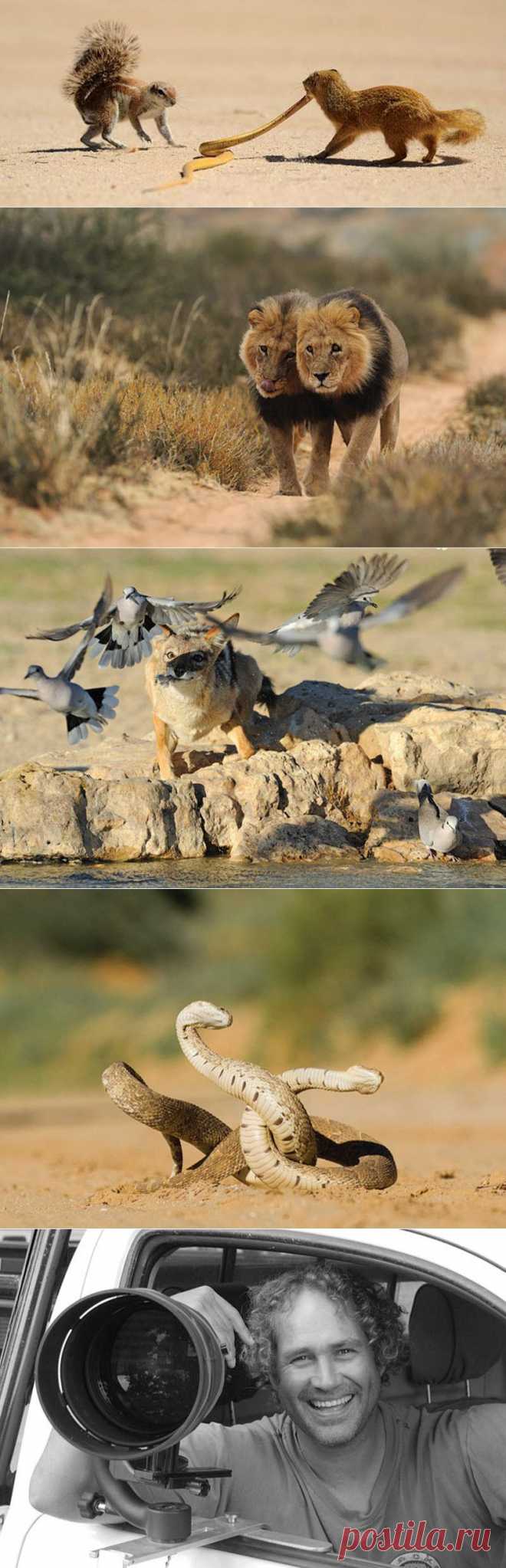 Краски Калахари