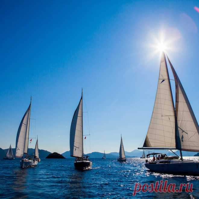 ⚓ Школа, где обучение превращается в захватывающее приключение
⛵ Опытные инструктора 🤩 Индивидуальный подход 💖 Приятные цены
💬 По всем интересующим вопросам 📧 info@sailskill.com 📞 +382 688 77656