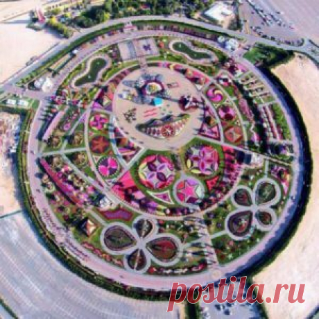 Парк в Дубае | Мир Женщины/Крупнейший цветочный сад в мире (Dubai Miracle Garden) площадью 72 тысячи кв.метров расположен в Дубае в районе Dubailand. Он обладает уникальной коллекцией цветов. Всего в парке высажено 45 миллионов цветов шестидесяти окрасок.