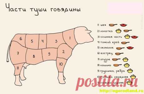 Как выбрать нужный отруб мяса для блюд из говядины