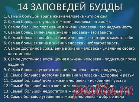 Мудрые мысли